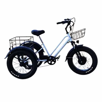 48V20AH Elektro Üç Tekerlekli Bisiklet 750/500w Yüksek Kapasiteli Lityum Pil İle Çok Fonksiyonlu Çekme Arabası Aşınmaya Dayanıklı Lastik