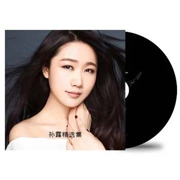 Asya Çin Pop Müzik Kadın Şarkıcı Güneş Lu 96 MP3 Şarkıları Koleksiyonu 2 Diskler Çin Müzik Öğrenme Araçları